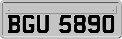 BGU5890