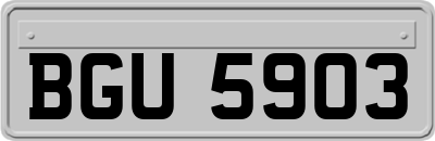BGU5903
