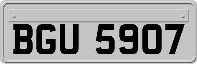BGU5907