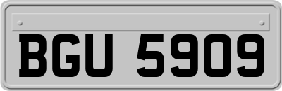 BGU5909