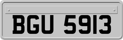 BGU5913