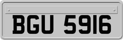 BGU5916