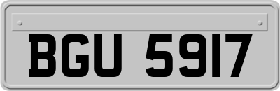 BGU5917