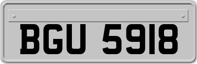 BGU5918