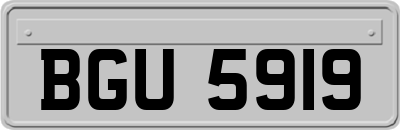 BGU5919