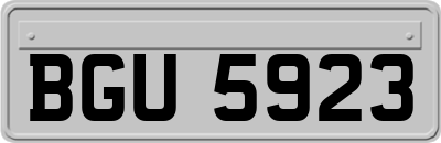 BGU5923