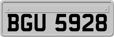 BGU5928