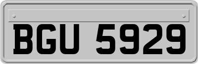 BGU5929