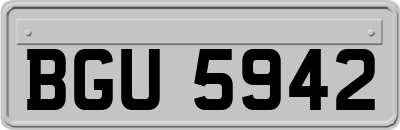 BGU5942