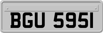 BGU5951