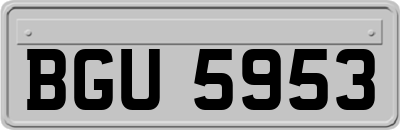 BGU5953