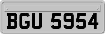 BGU5954