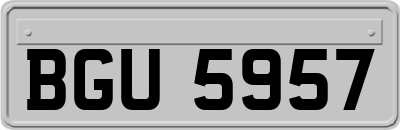 BGU5957