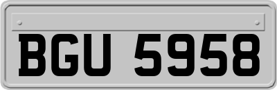 BGU5958