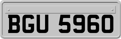 BGU5960