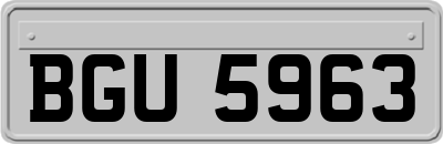 BGU5963