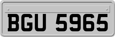 BGU5965