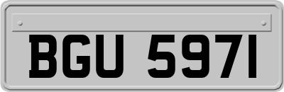 BGU5971