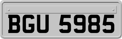 BGU5985