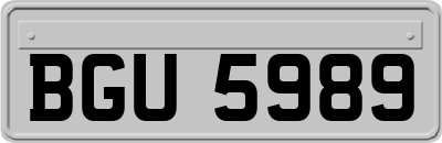 BGU5989
