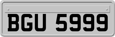 BGU5999