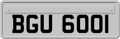 BGU6001