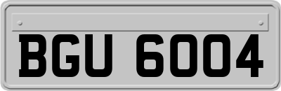 BGU6004
