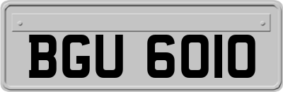 BGU6010