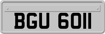 BGU6011