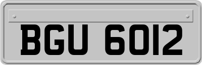 BGU6012