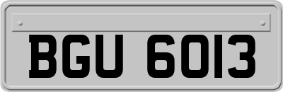BGU6013