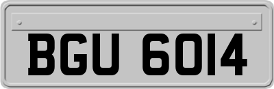 BGU6014