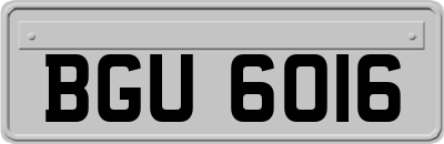 BGU6016