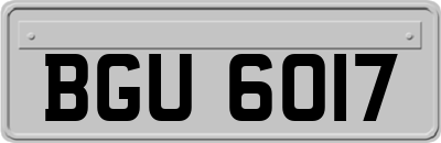 BGU6017