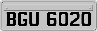 BGU6020
