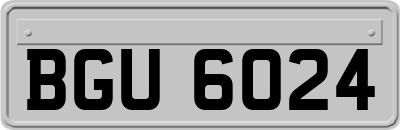 BGU6024