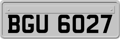 BGU6027