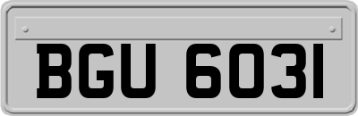 BGU6031