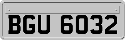BGU6032