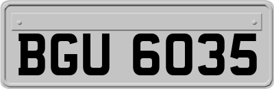BGU6035