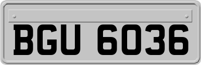BGU6036