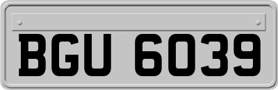 BGU6039