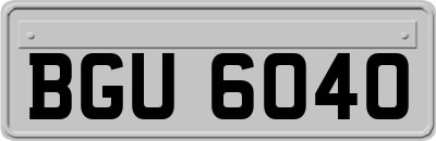 BGU6040