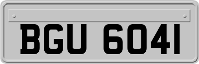 BGU6041