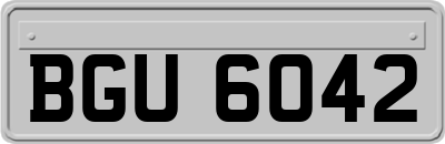 BGU6042