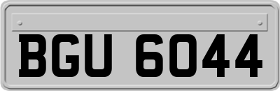 BGU6044