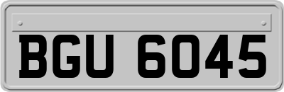 BGU6045