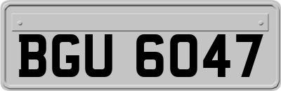 BGU6047