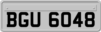 BGU6048