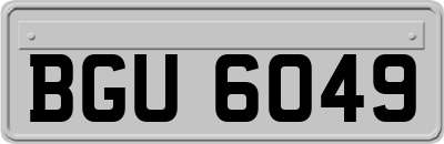 BGU6049
